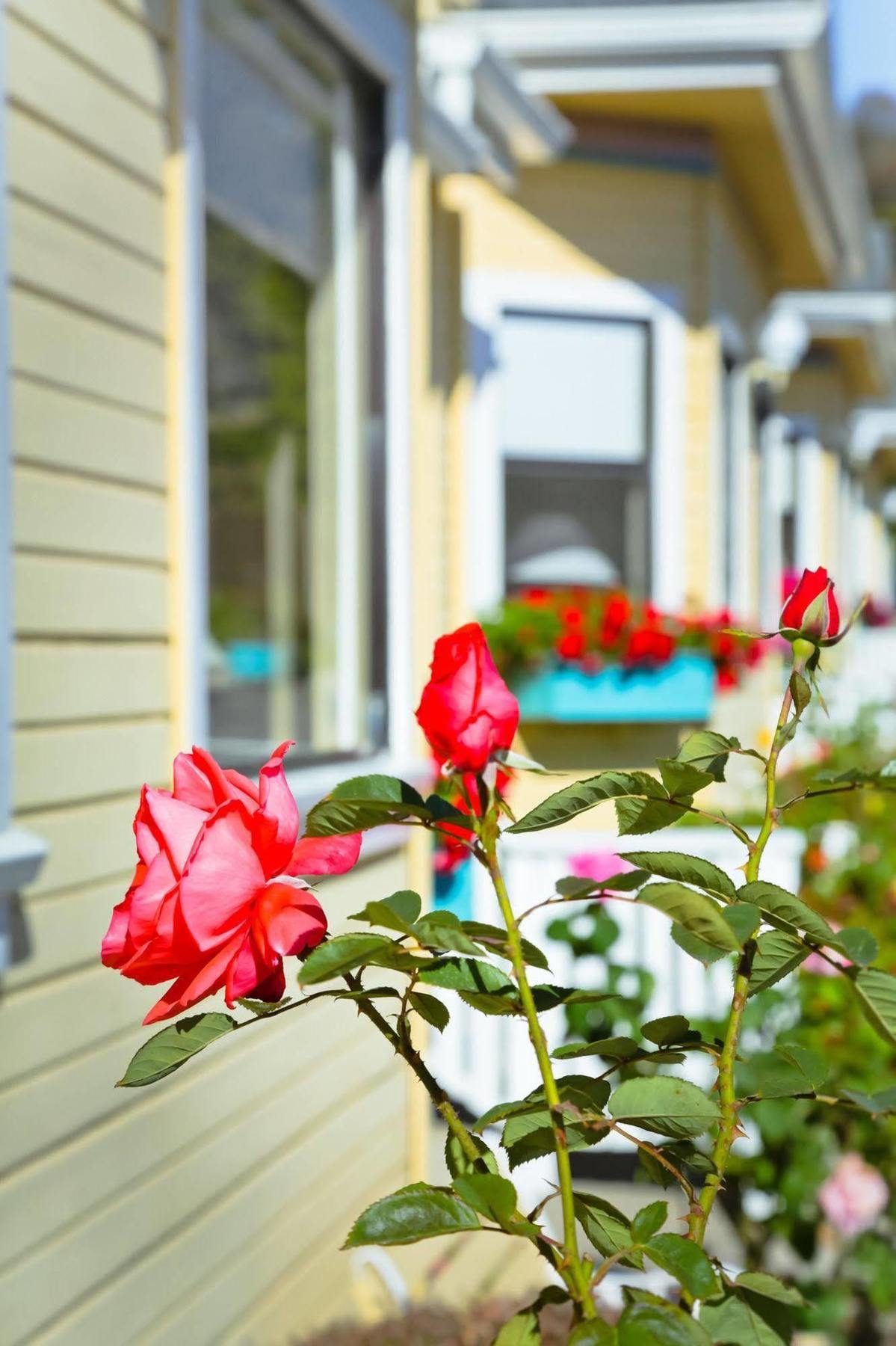 White Water Hotel Cambria Exterior foto